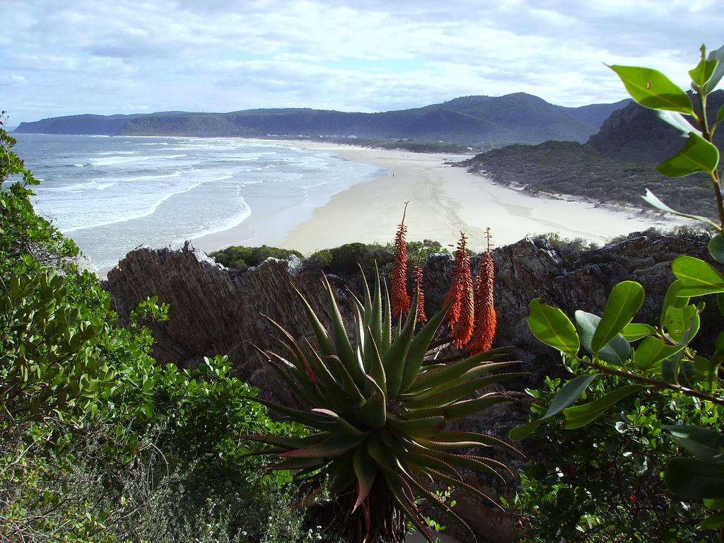 Storms River Guest Lodge Стормсривер Экстерьер фото